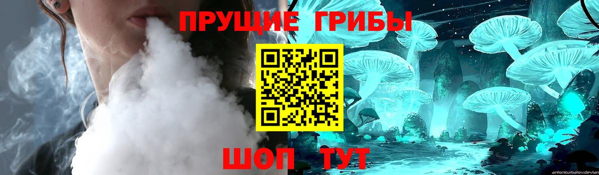 Галлюциногенные грибы Psilocybine cubensis Новосибирск